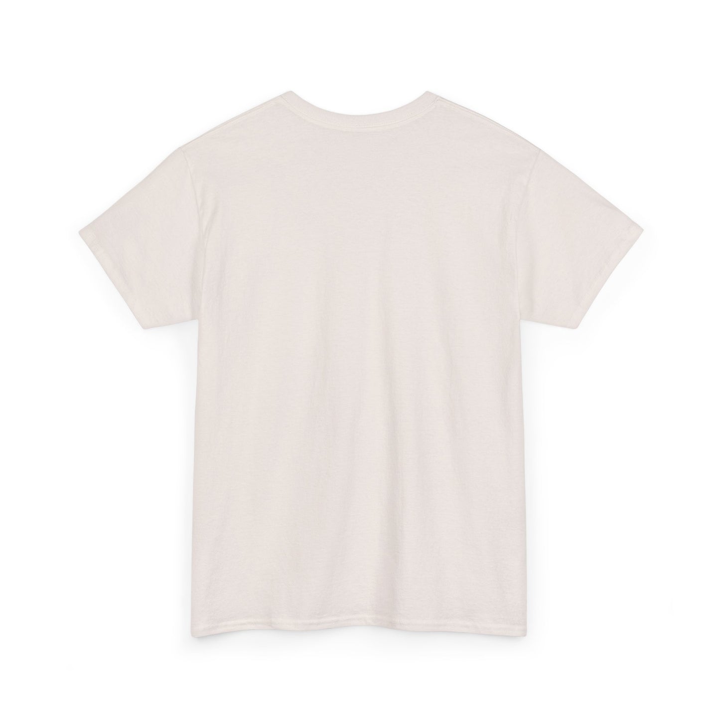 Leaky Roof Grey Tee