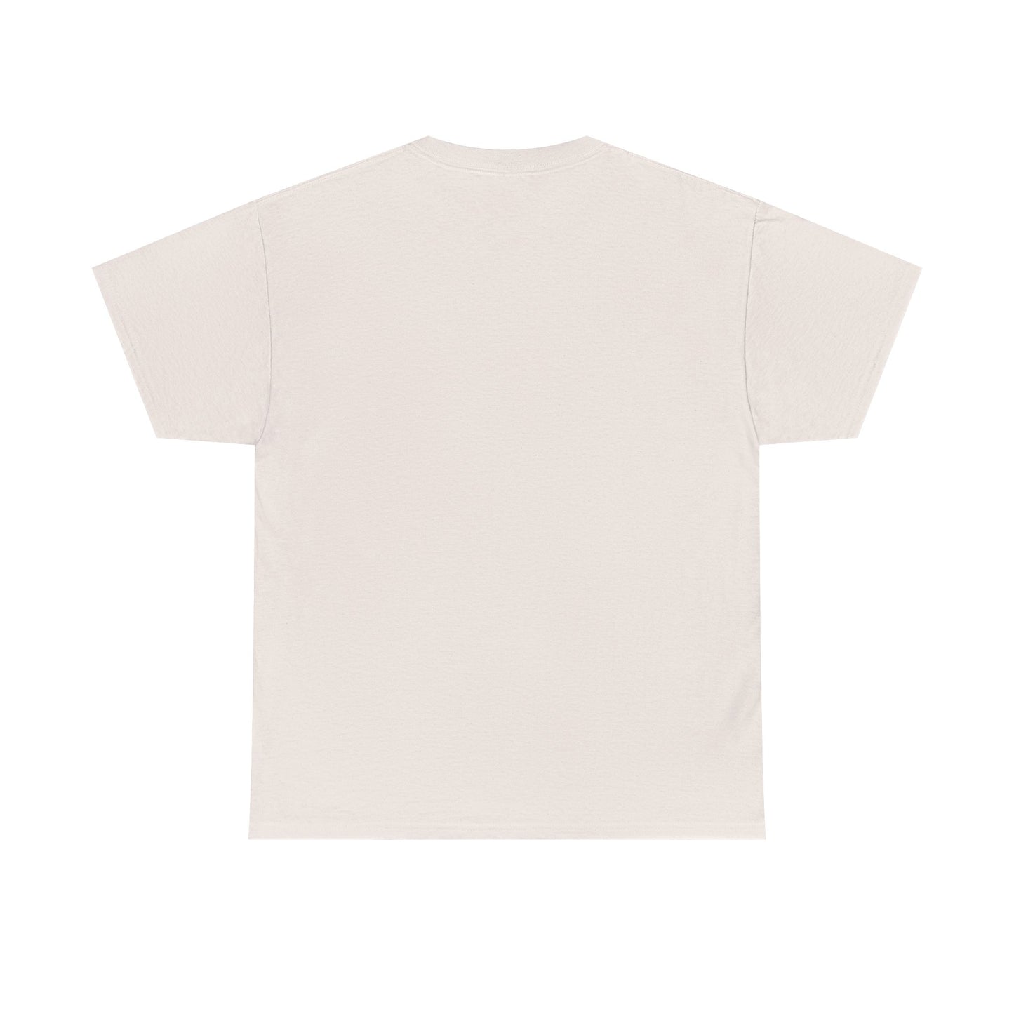 Leaky Roof Grey Tee