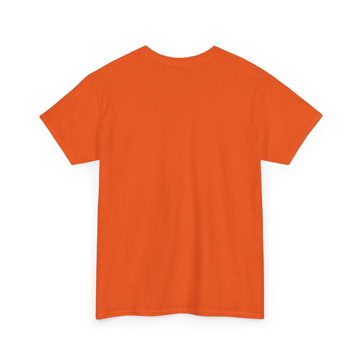 Leaky Roof Orange Tee