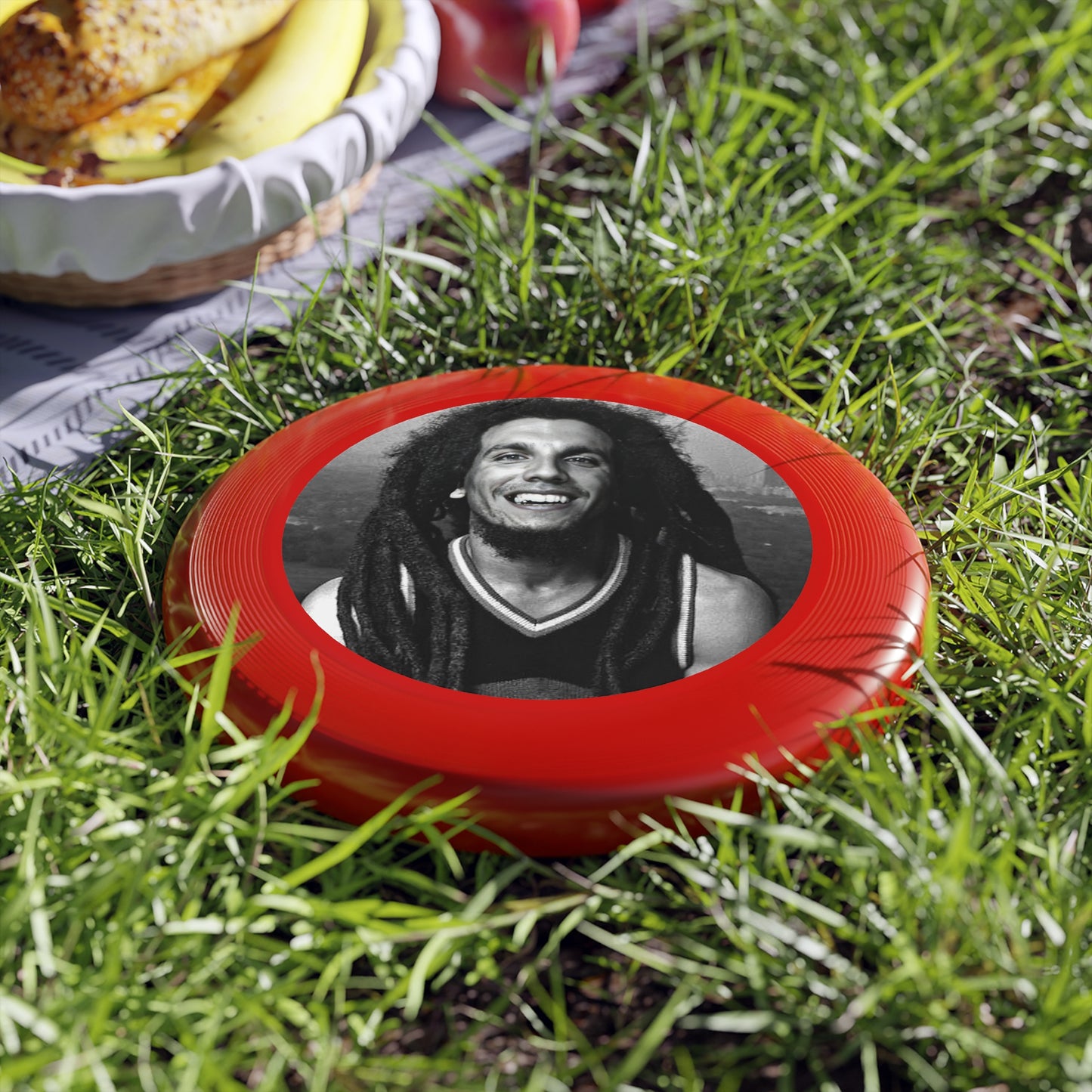 Hyena Hippie Frisbee