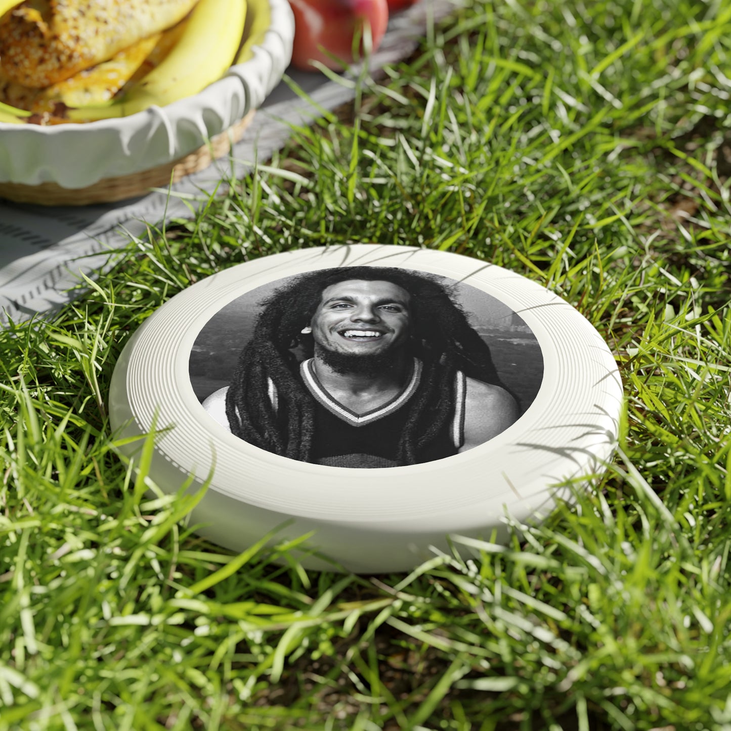 Hyena Hippie Frisbee