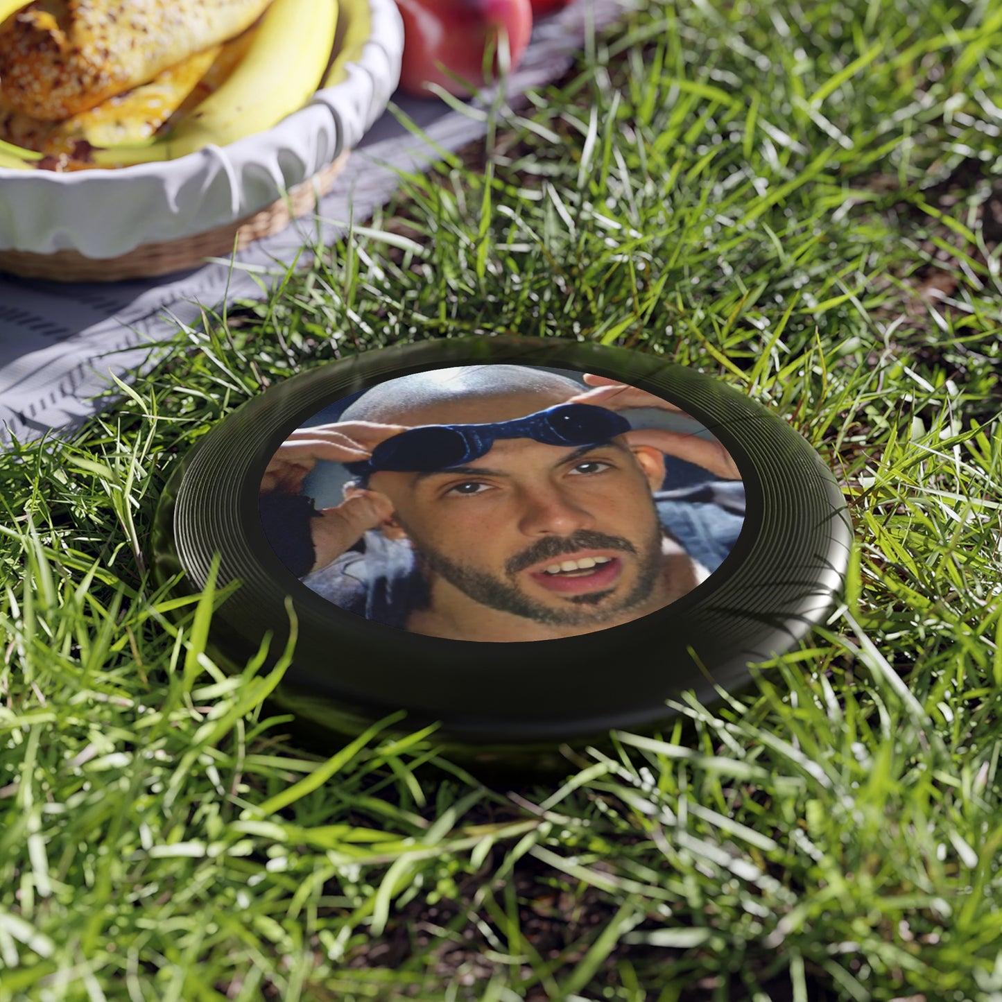 Chronicles of Frisbee