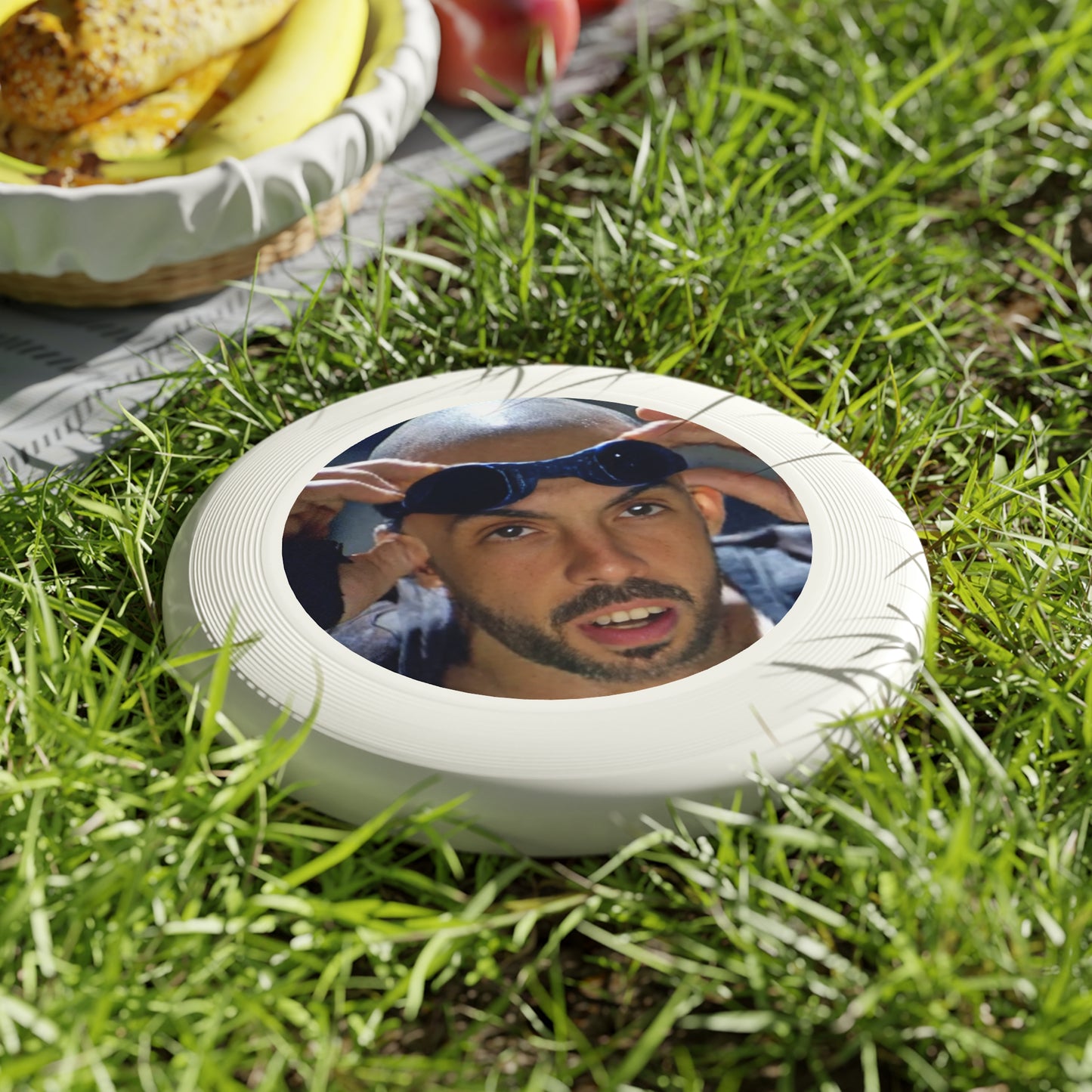 Chronicles of Frisbee