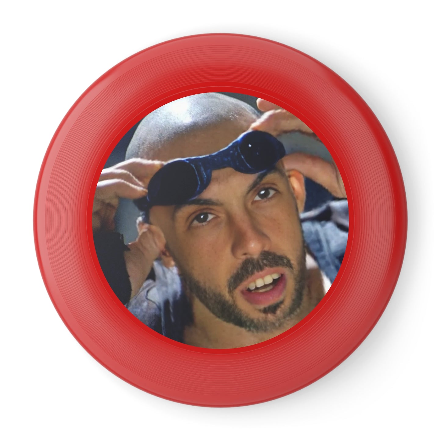 Chronicles of Frisbee