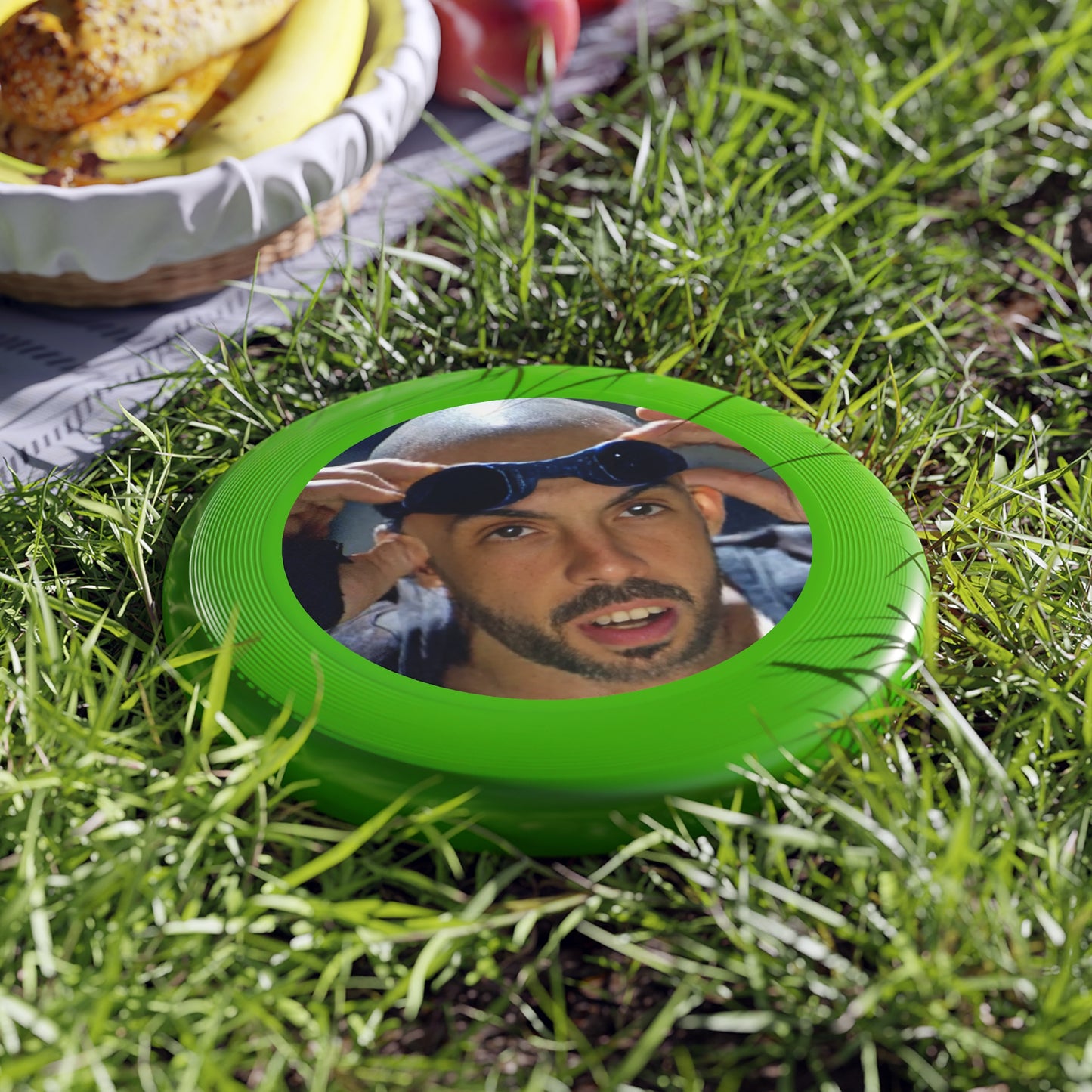 Chronicles of Frisbee