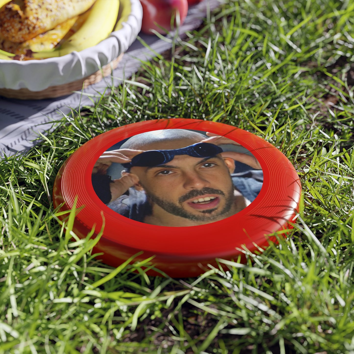 Chronicles of Frisbee