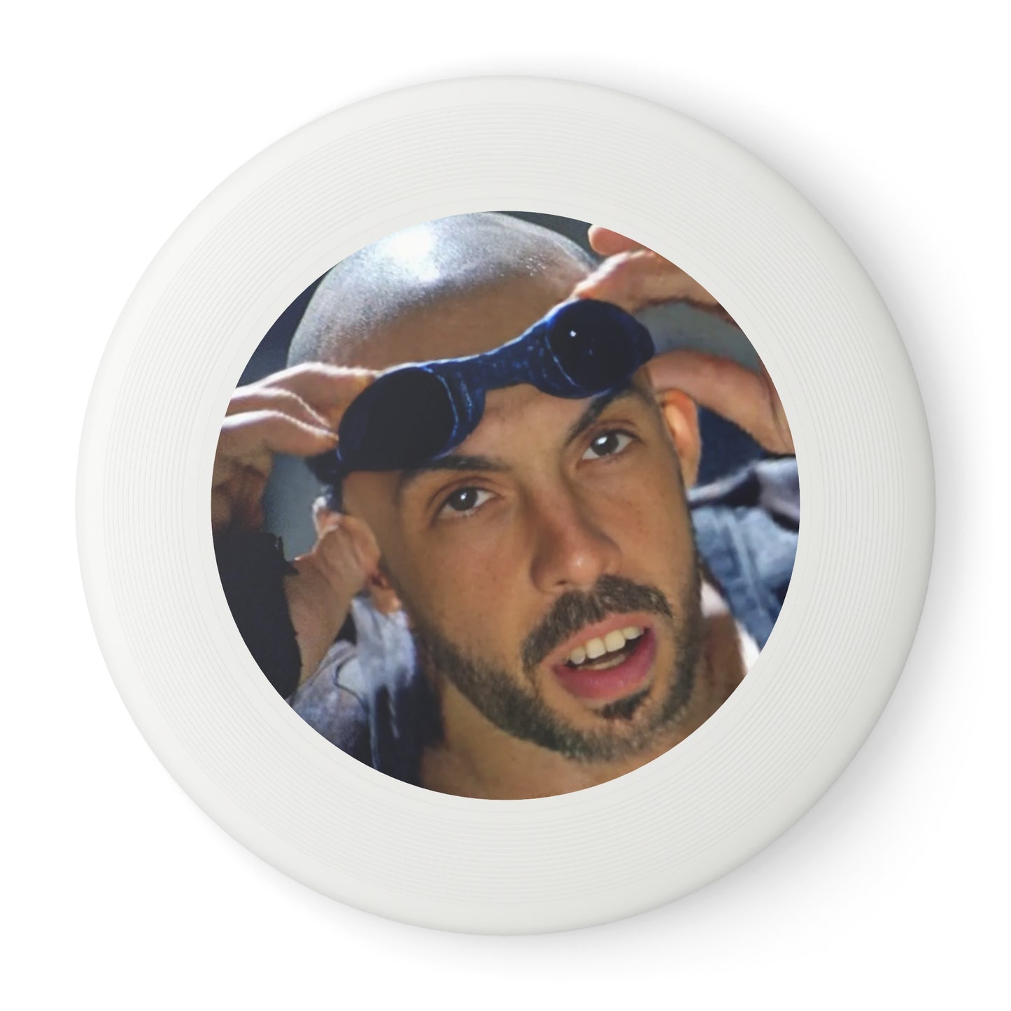 Chronicles of Frisbee