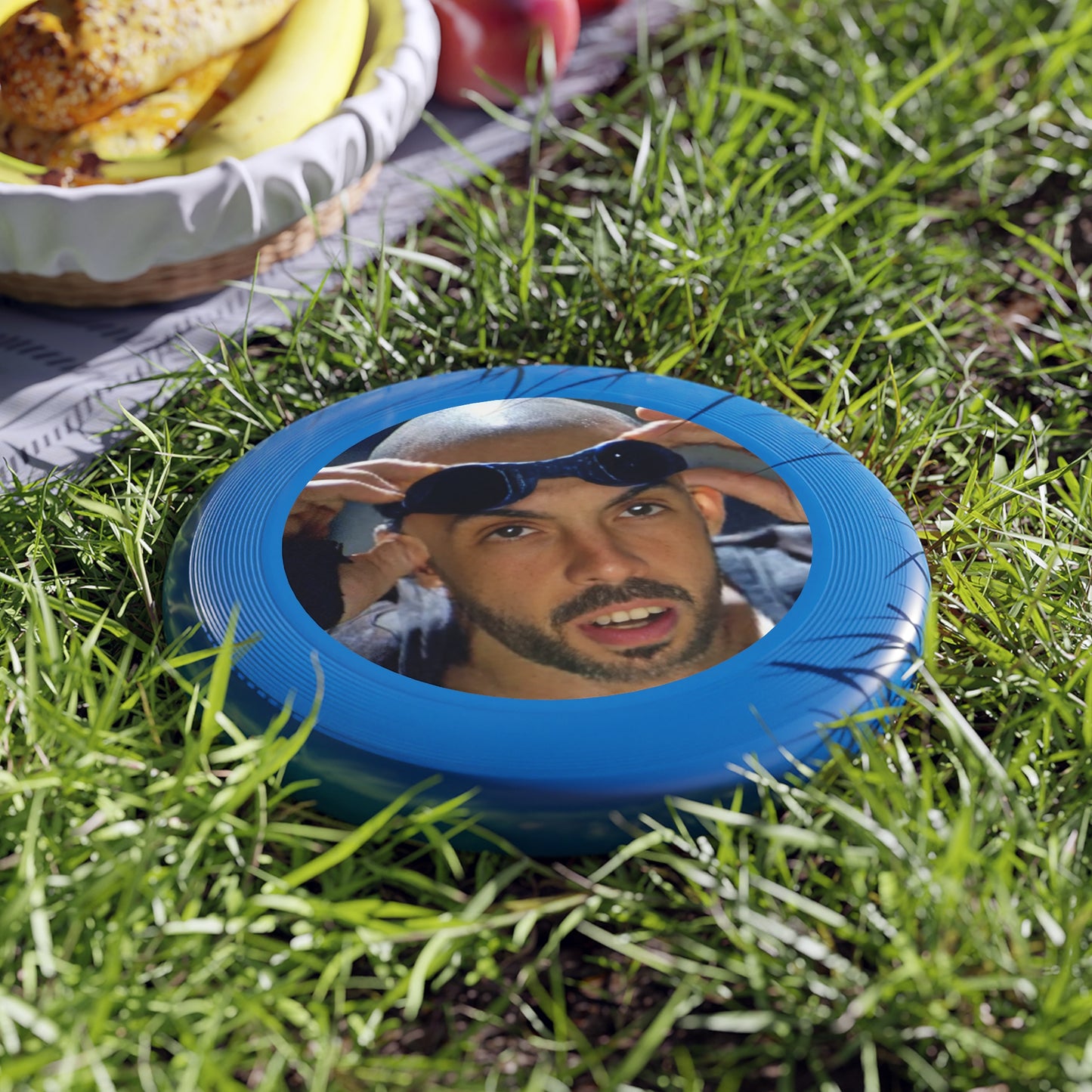 Chronicles of Frisbee